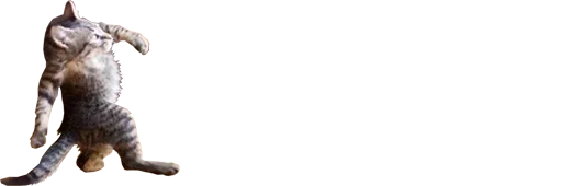 animal mammal domestic cat