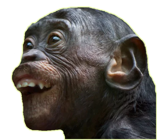 Стикер Heyvoon - 5