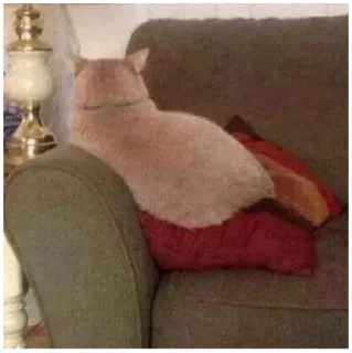 Sticker boobich - 11