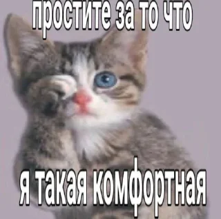 животное млекопитающее кошка