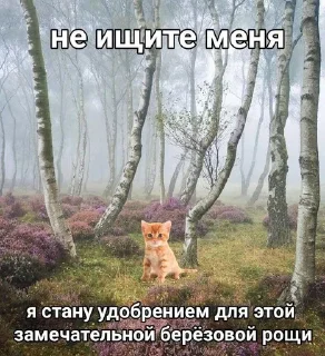 СМС дерево на открытом воздухе