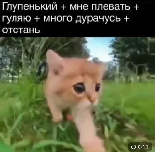 Стикер idgistiks - 9