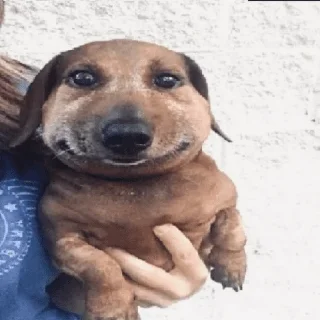 Стикер бордель кринжа!!! - 11