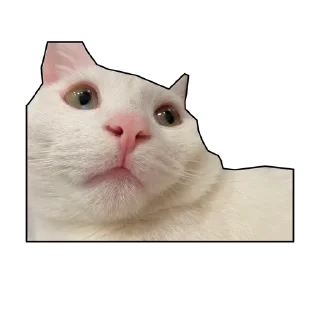 Стикер Кunilingusy - 8