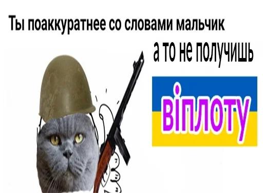 оружие СМС кошка
