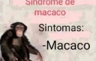 Sticker bosta cu mijo - 6