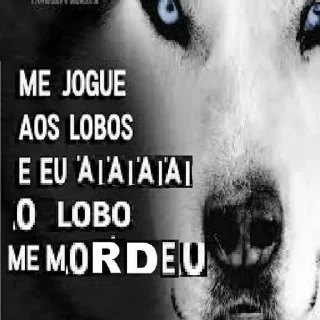 Sticker bosta cu mijo - 0