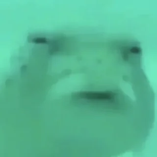 Sticker bosta cu mijo - 4