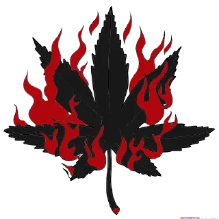 Sticker Boston Shop - 9