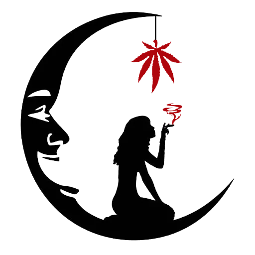 Sticker Boston Shop - 10