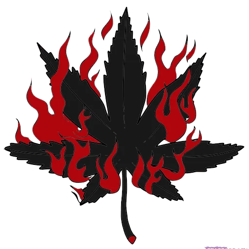 Sticker boston_shop - 1