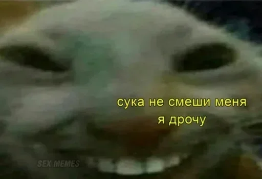 Стикер бойчик :: @fStikBot - 5