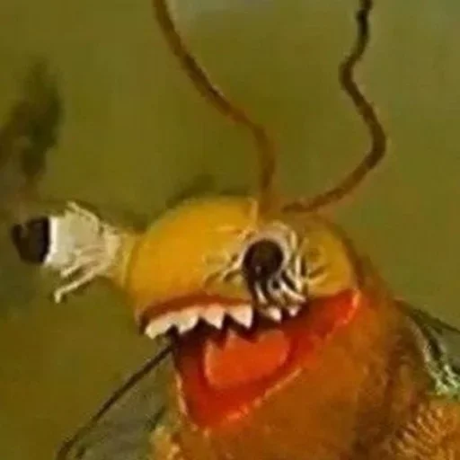 Стикер бойчик :: @fStikBot - 2