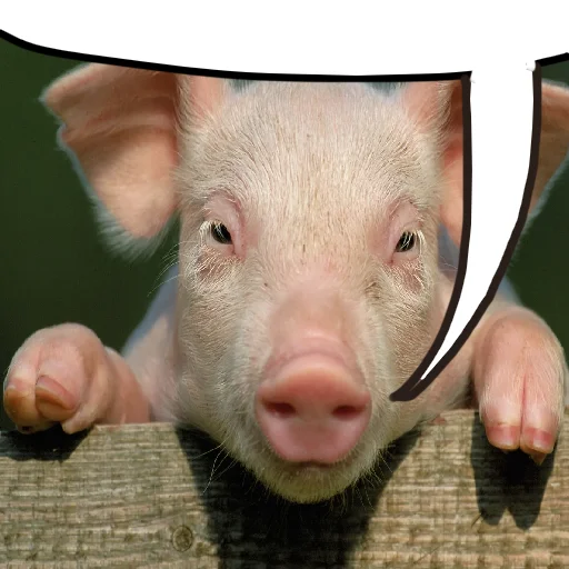 Sticker boyeviye - 1