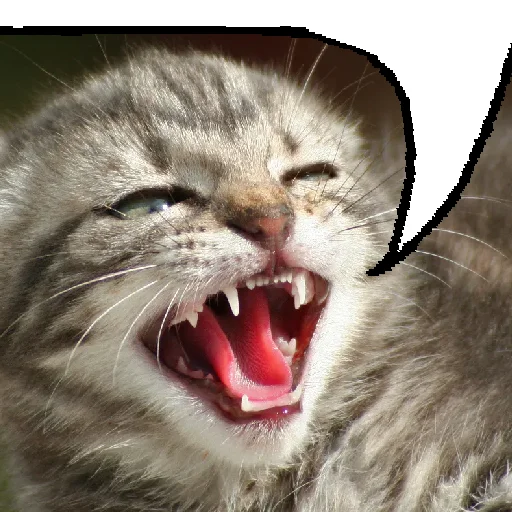 Sticker boyeviye - 1