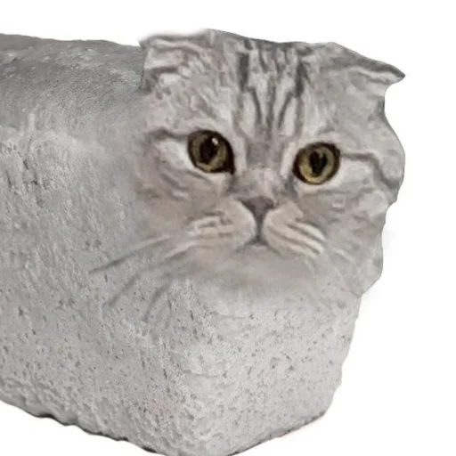 ✨💅boyfriend to death✨🔪 - 