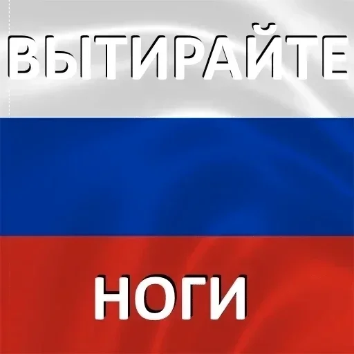 Стикер стіки нікусі (улюблені) :: @fStikBot - 8