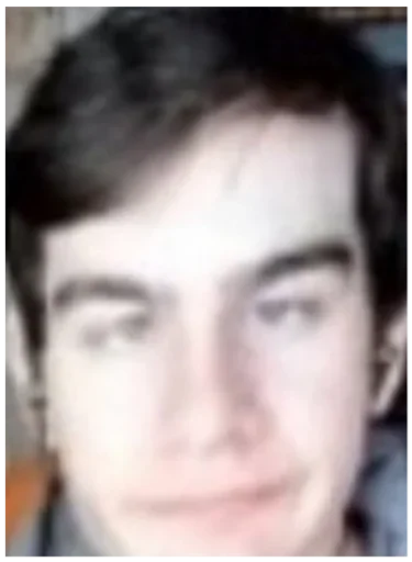 human face eyebrow person