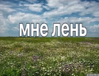 Стикер брадки - 6