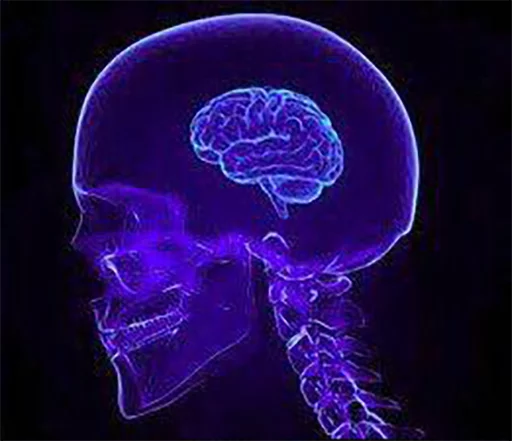 expanding brain meme - art