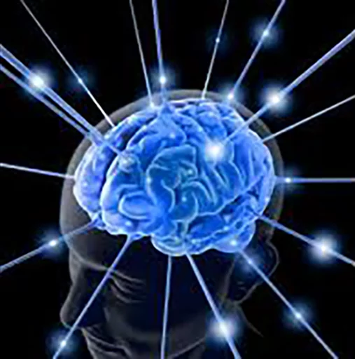 fractal art circle art