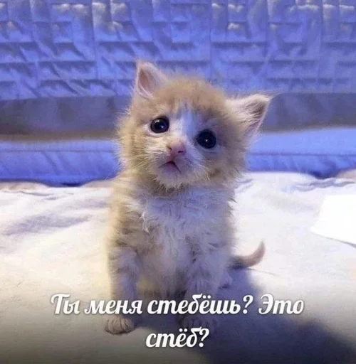 Стикер brawlssloverrstopp - 1