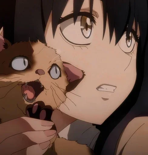 Sticker brawlssloverrstopp - 1