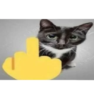 Стикер fav stickers - 7