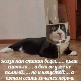 Стикер fav stickers - 0