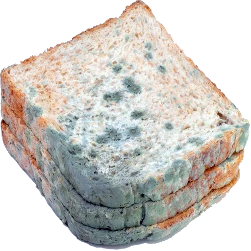 mineral igneous rock stone