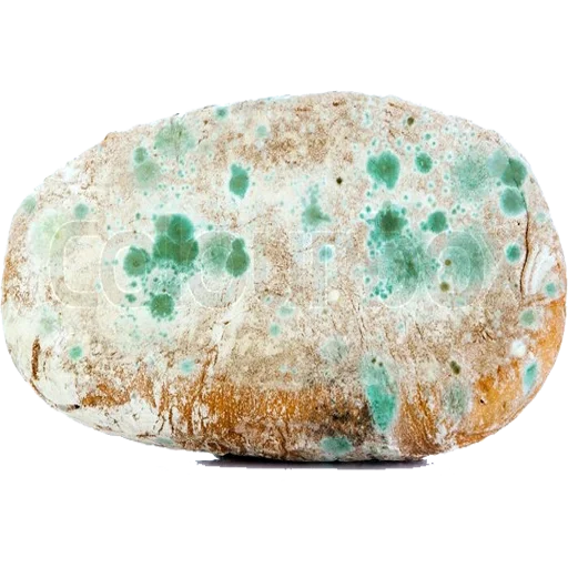 turquoise rock
