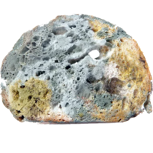 rock mineral igneous rock