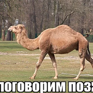 Sticker бред несусветный - 1