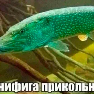 Sticker бред несусветный - 2