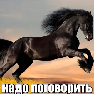 Sticker бред несусветный - 9