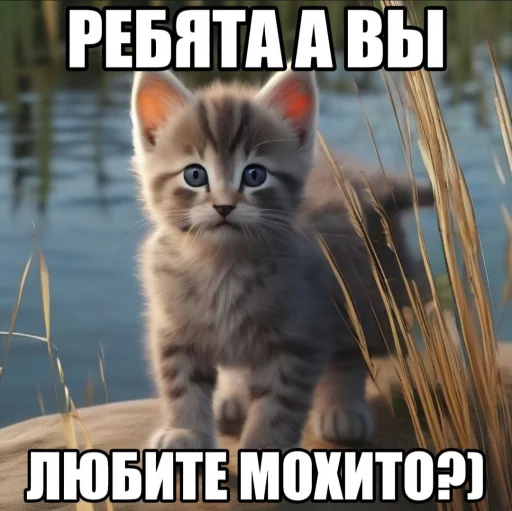 брекоткин #скуфизирован👌 - 