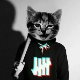 Стикер брекоткин #скуфизирован👌 - 8