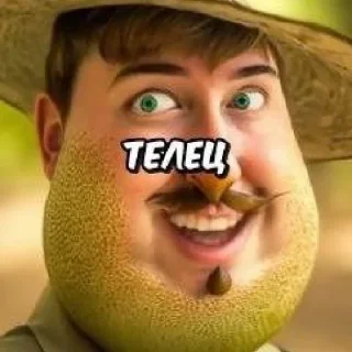 Стикер брекоткин #скуфизирован👌 - 7