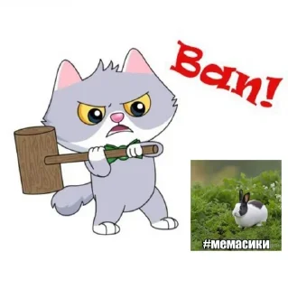 Стикер брекоткин #скуфизирован👌 - 1