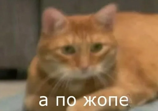 Стикер 𝚃𝚑𝚎𝙱𝚛𝚒𝚊𝚗𝙼𝚊𝚙𝚜💗💍 :: @fStikBot - 0