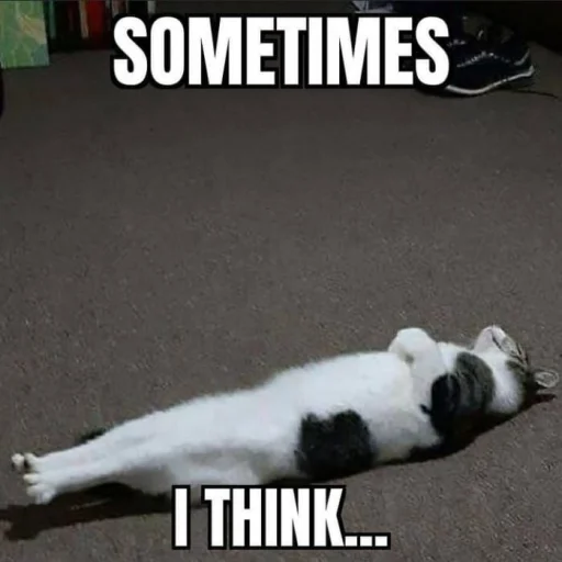 Sticker bringmetheoceancats - 1