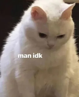 Sticker salem loves cat - 3