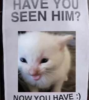 Sticker salem loves cat - 8