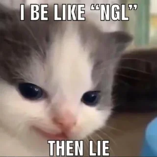 Sticker salem loves cat - 9