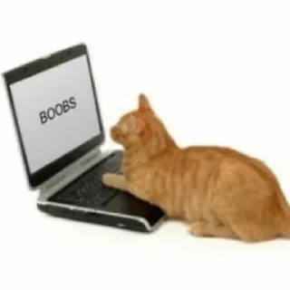 Sticker salem loves cat - 11