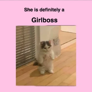 Sticker salem loves cat - 2