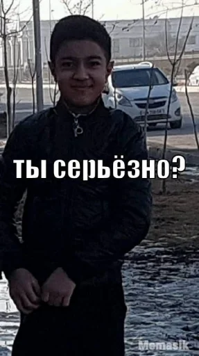 Sticker Арихану верблюдану - 11