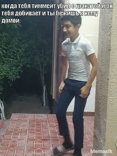 Sticker Арихану верблюдану - 10