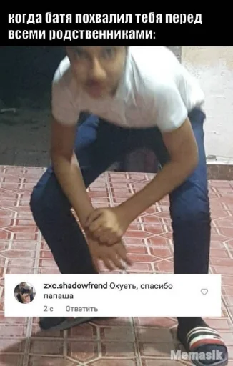 Sticker Арихану верблюдану - 9