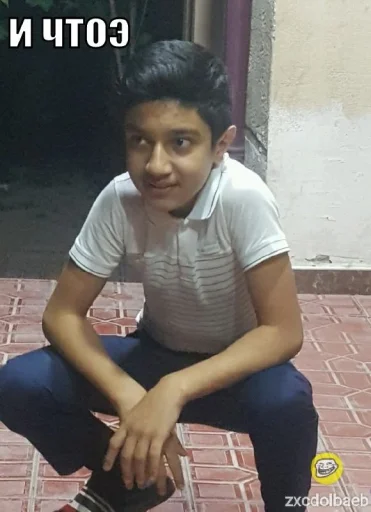 Sticker Арихану верблюдану - 4